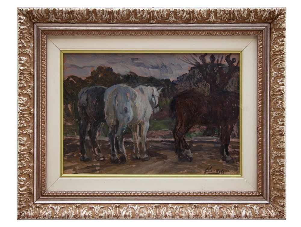 ferruccio scattola: Cavalli